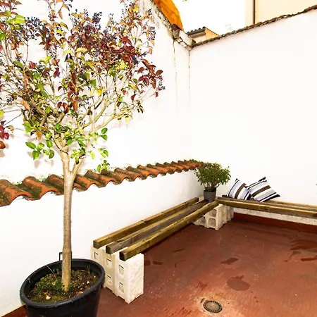 Vut Limoneros Laranitasalmantina Apartmán *