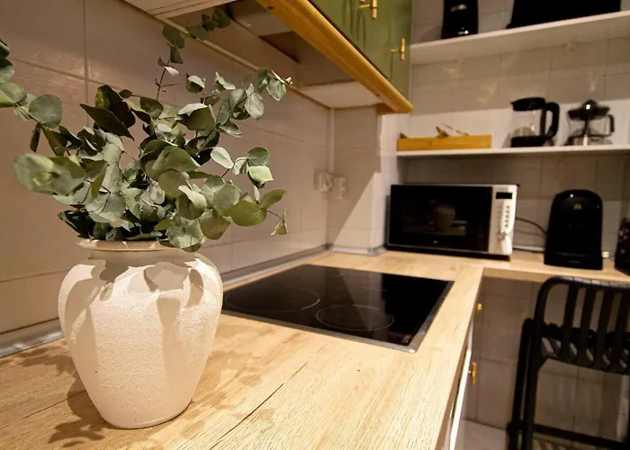 Vut Limoneros Laranitasalmantina